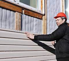 Best Custom Siding Design  in Savanna, IL